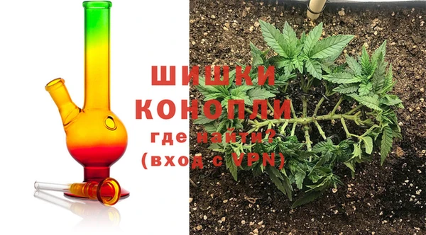 ГАЛЛЮЦИНОГЕННЫЕ ГРИБЫ Покровск