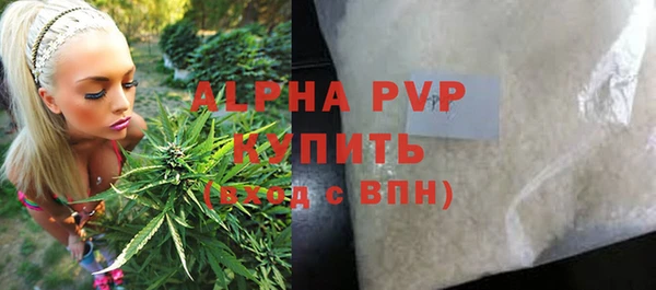 ГАЛЛЮЦИНОГЕННЫЕ ГРИБЫ Покровск