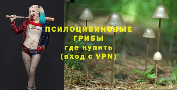 ГАЛЛЮЦИНОГЕННЫЕ ГРИБЫ Покровск