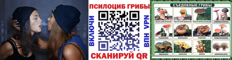 Псилоцибиновые грибы Magic Shrooms  Сертолово 